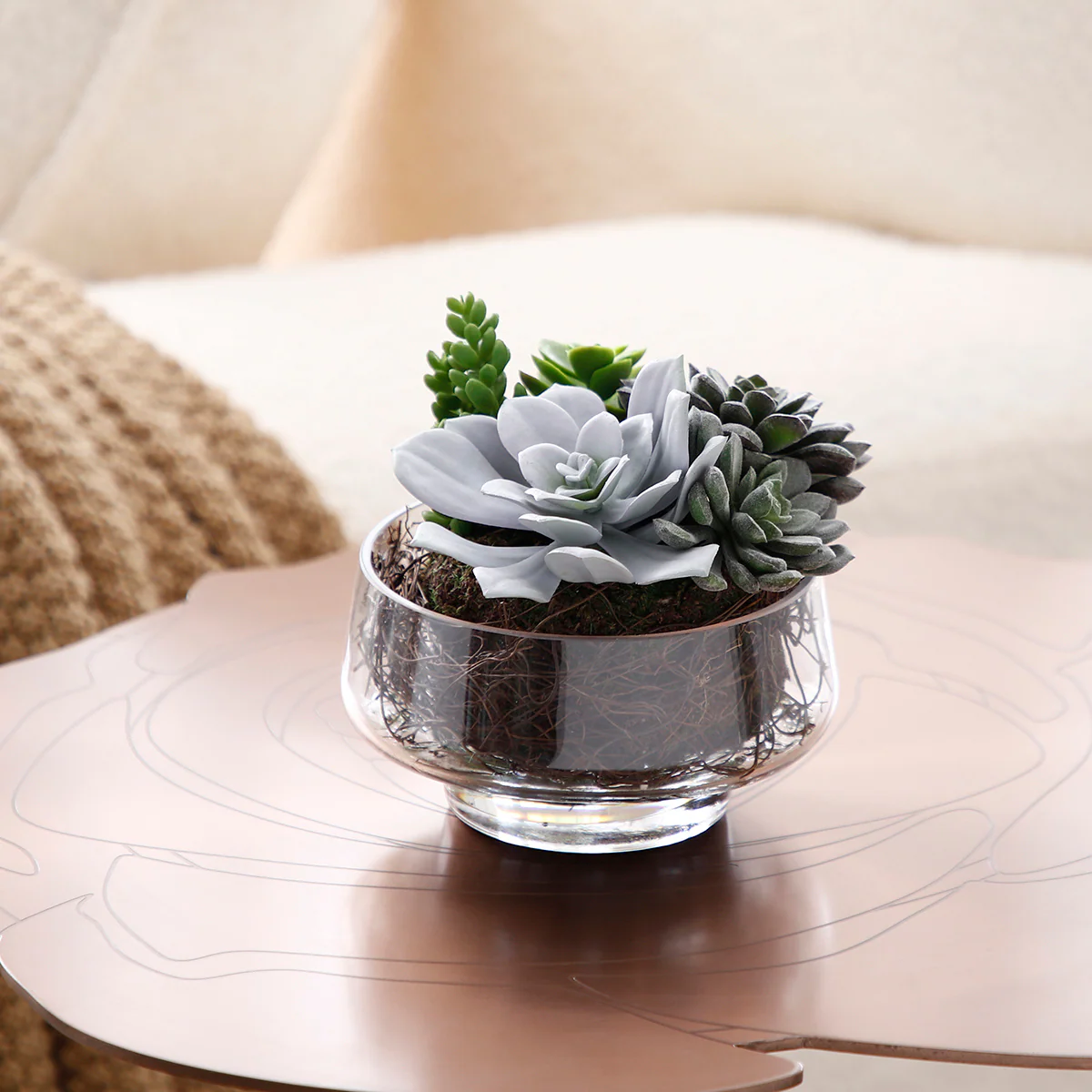 Composition de Succulentes en vase transparent Grand format - Image 3