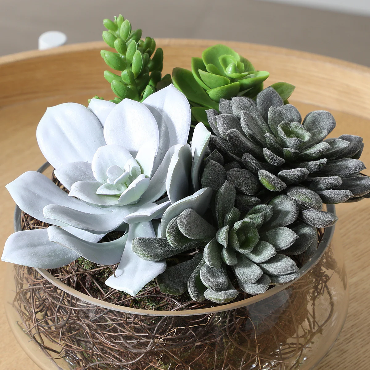 Composition de Succulentes en vase transparent Grand format - Image 4