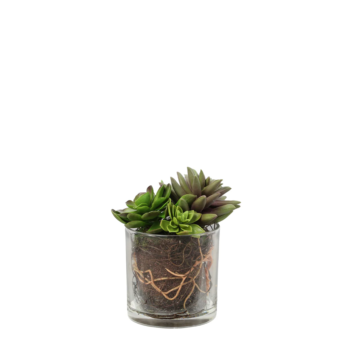 Miniature 1