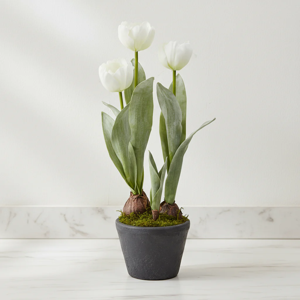Tulipes Givrées en Pot - Image 4