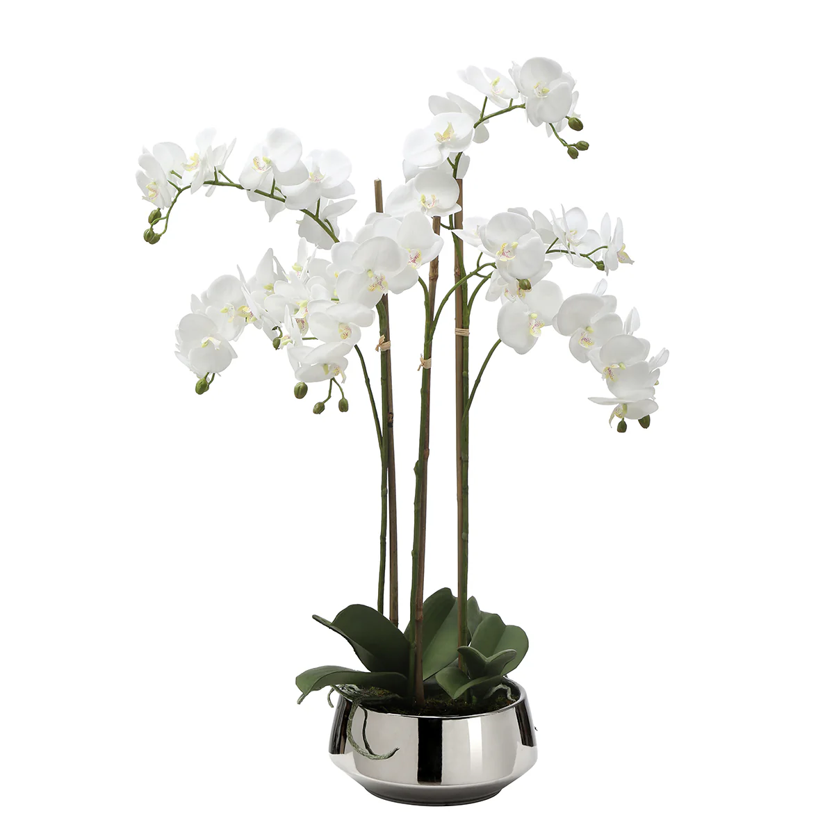 Composition d'Orchidée Artificielle Lena 8 branches - Image 7