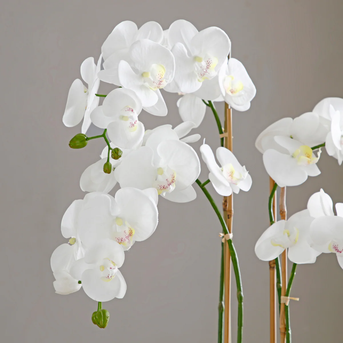 Composition d'Orchidée Vase Doré 79cm - Image 4