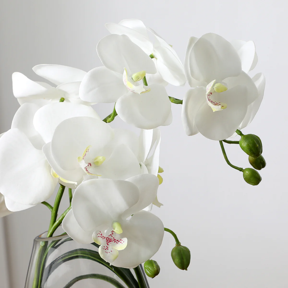 Composition d'Orchidée Artificielle avec vase et herbe d'ours 29cm - Image 3