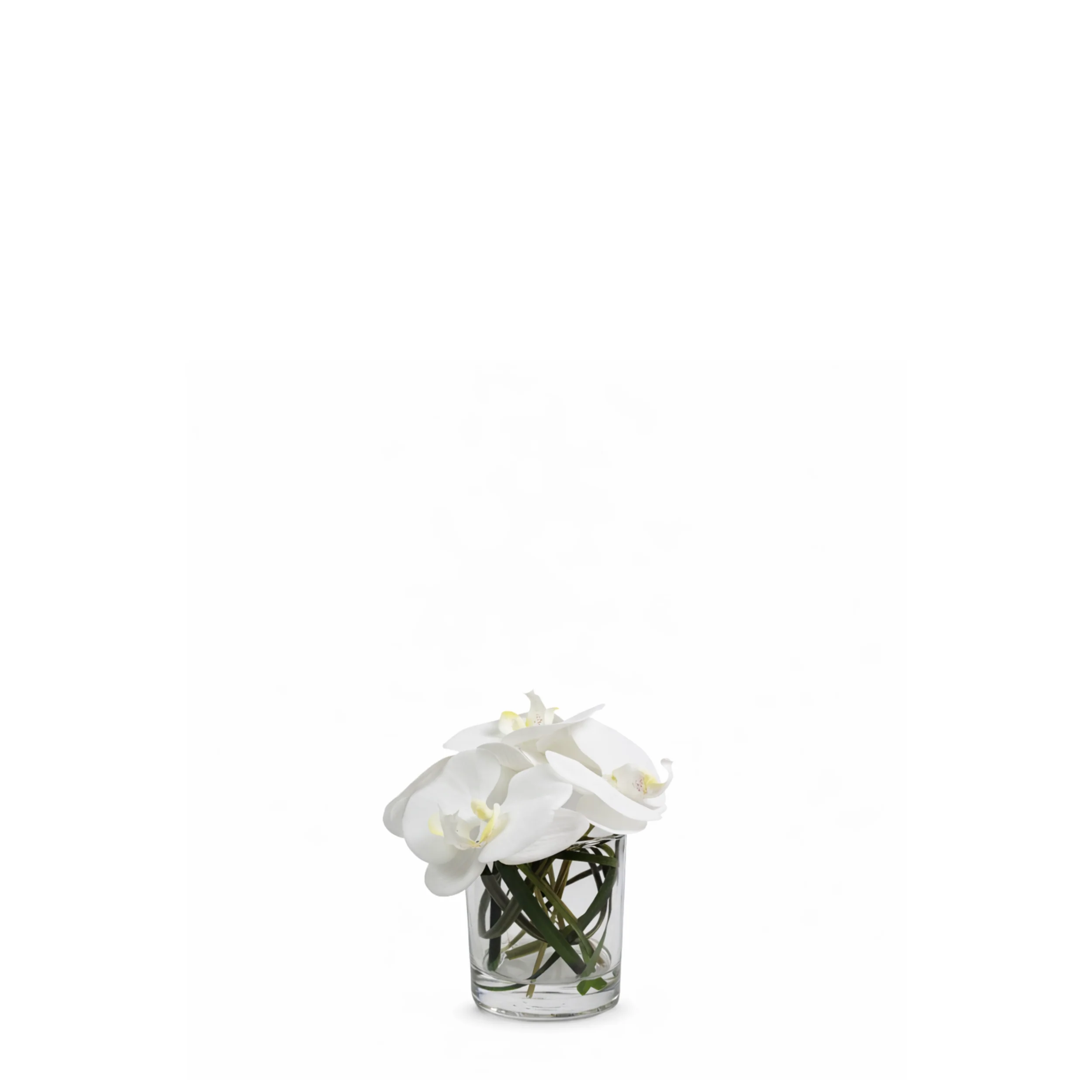 Composition d'Orchidée en vase conique Elie