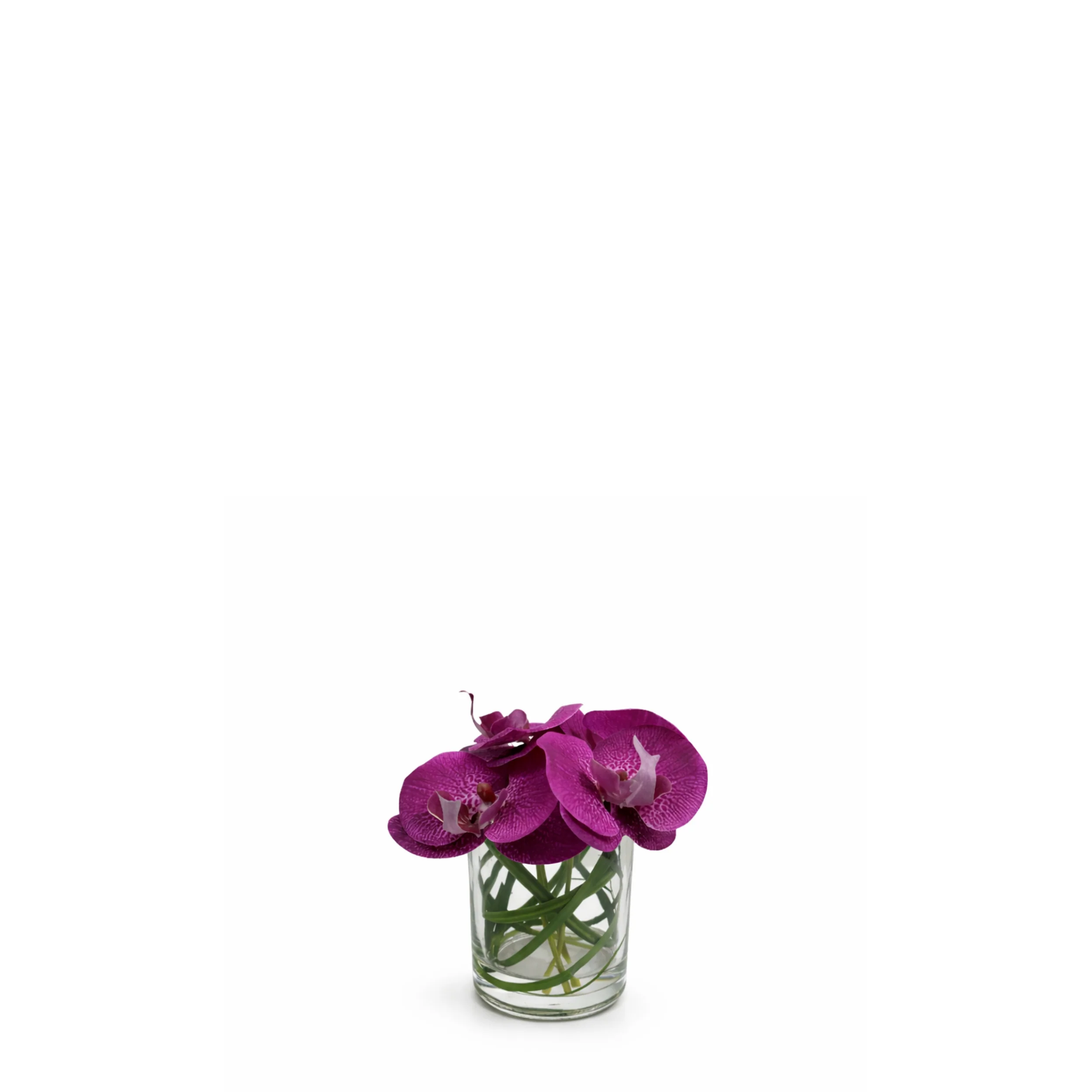 Composition d'Orchidée en vase conique Elie - Image 3