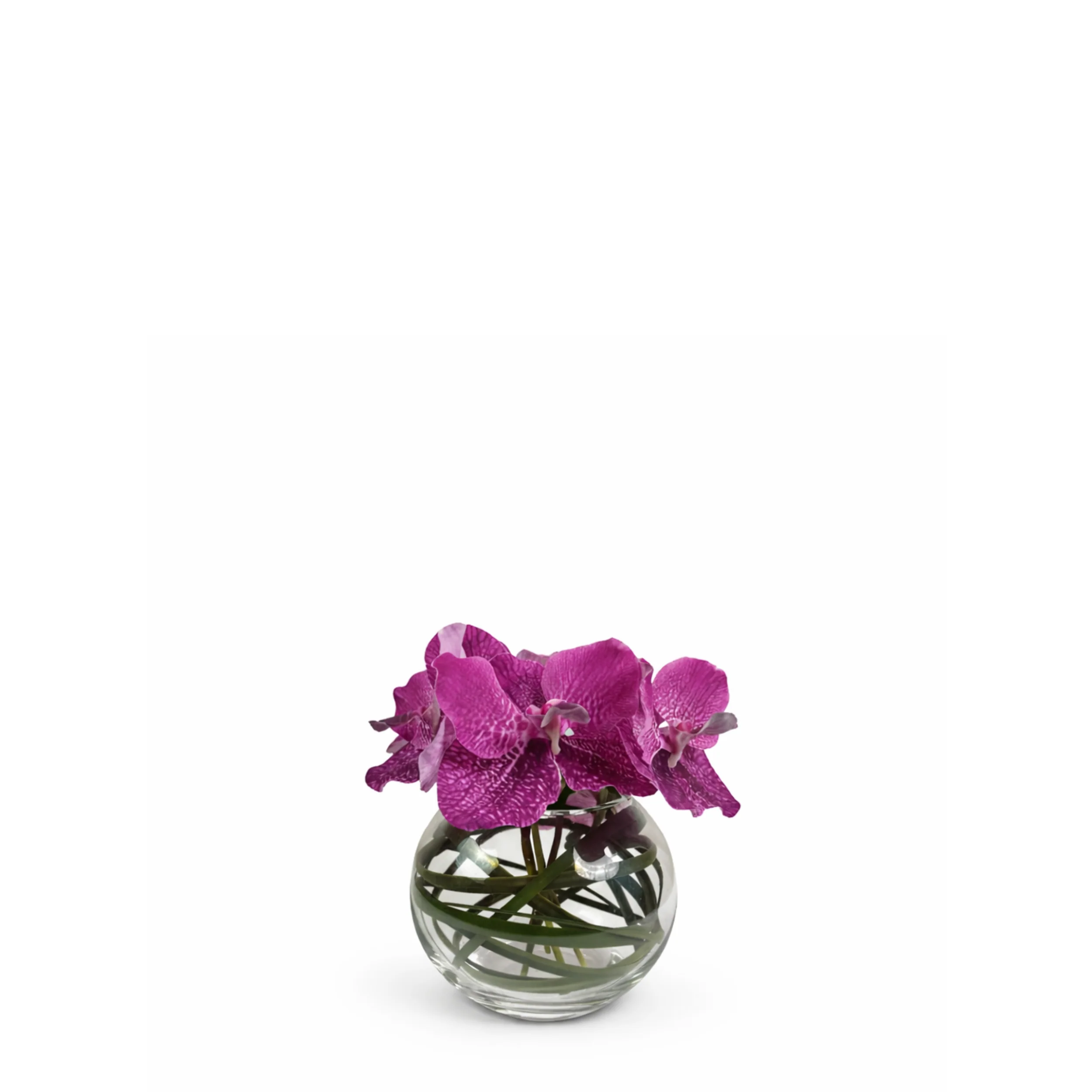 Composition d'Orchidée en vase rond Chloé