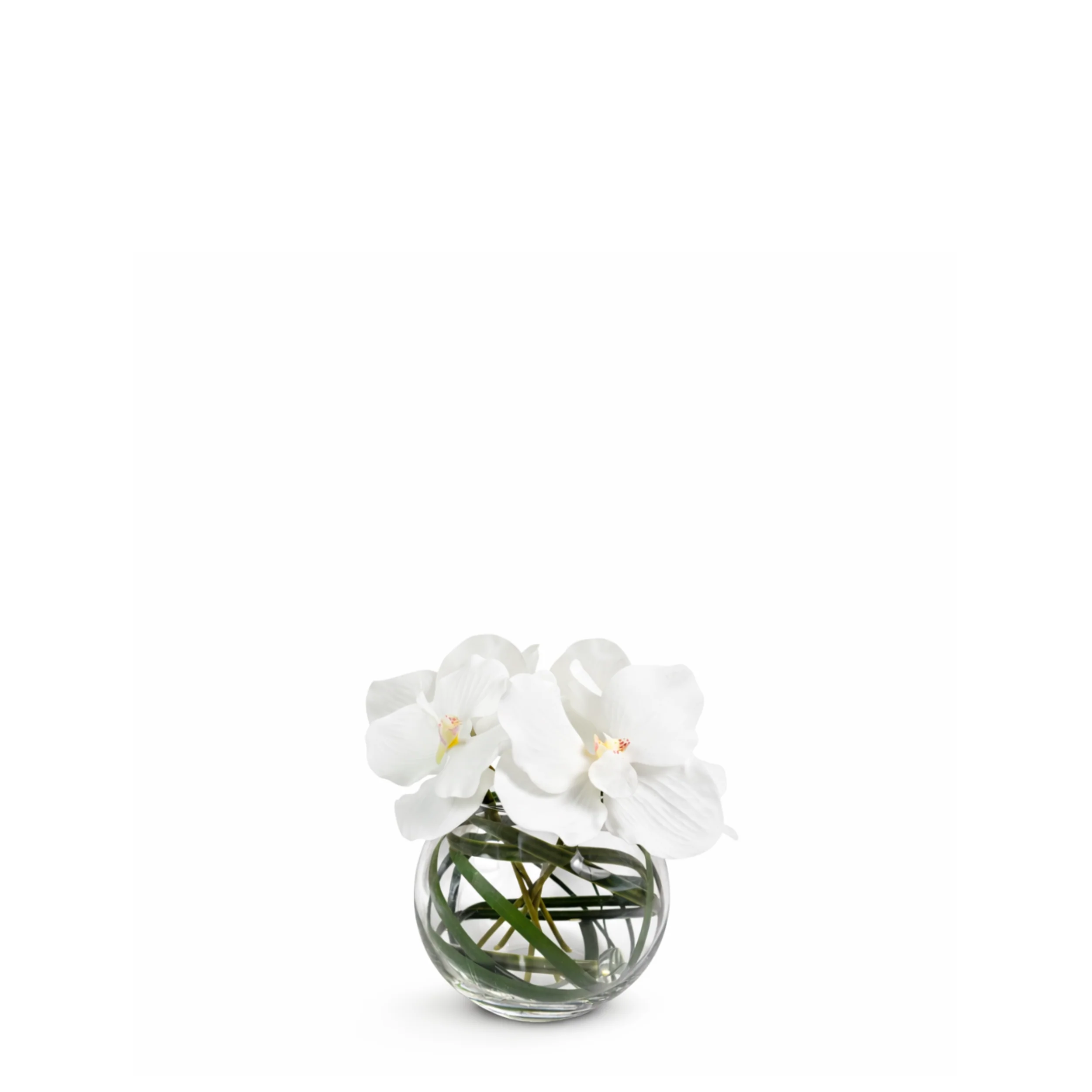 Composition d'Orchidée en vase rond Chloé - Image 3