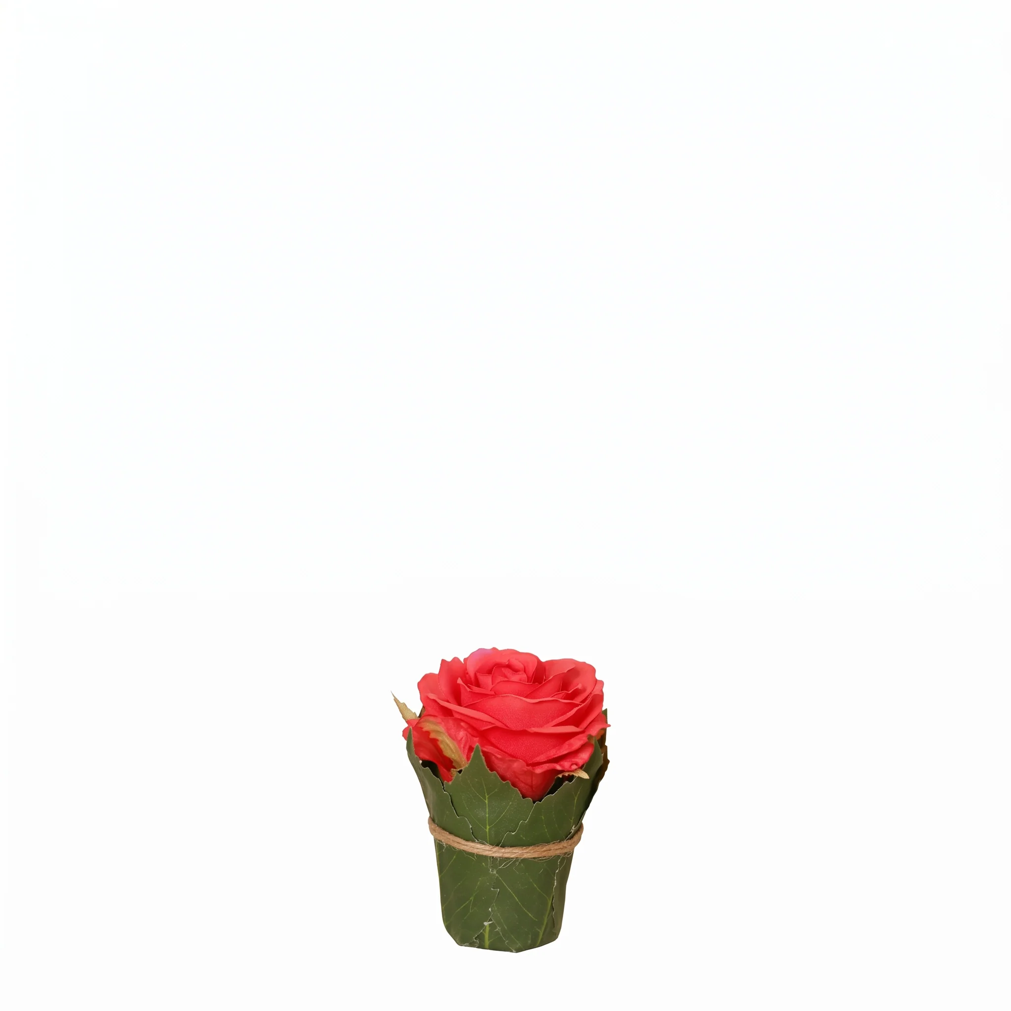 Composition Rose entourée de feuilles - Image 3