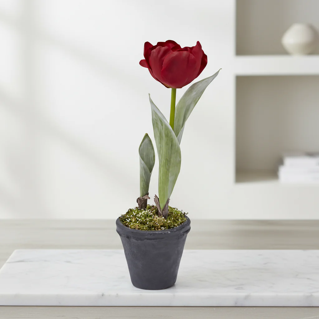Tulipe Givrée en Pot - Image 4