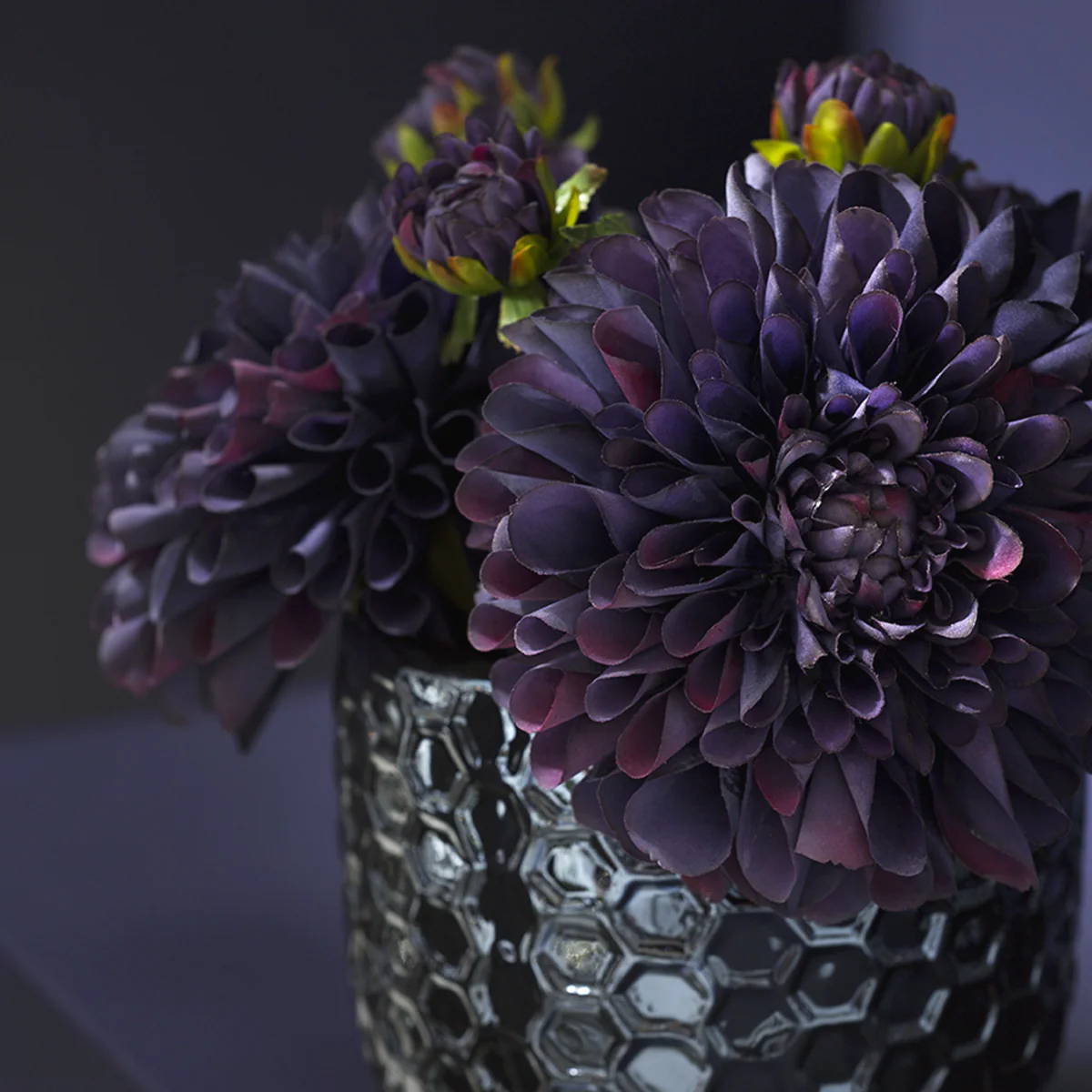 Tige de Dahlia Bonnie - Image 7