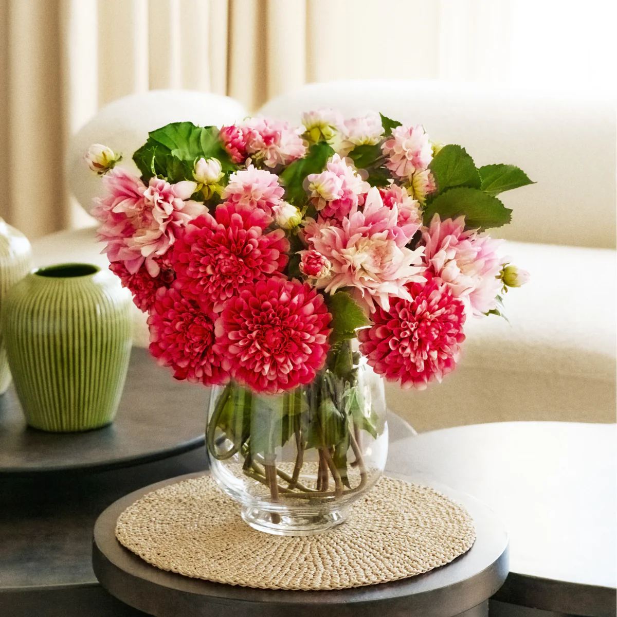 Tige de Dahlia Estiva - Image 2