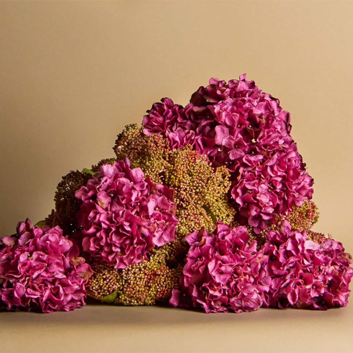 Feuillage de Sedum - Image 2