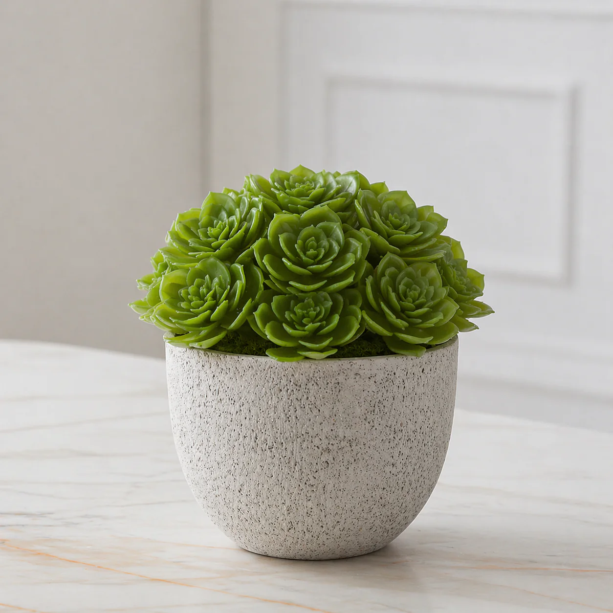 Feuillage de succulente à piquer - Image 2