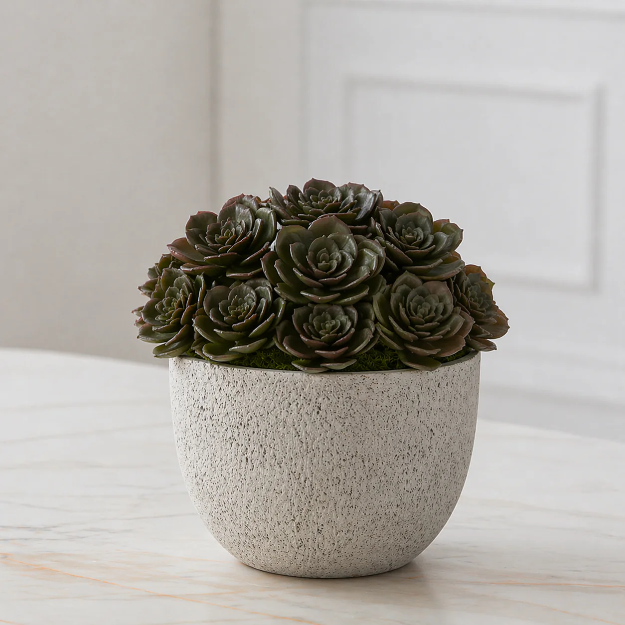 Feuillage de succulente à piquer - Image 5