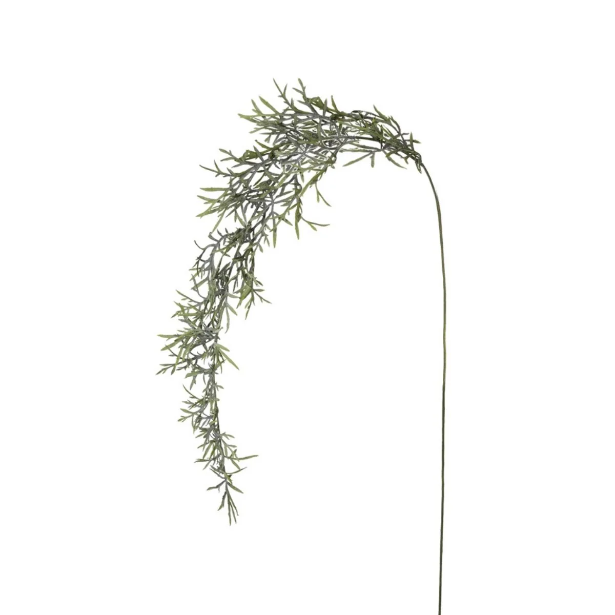 Feuillage Herbe tombante