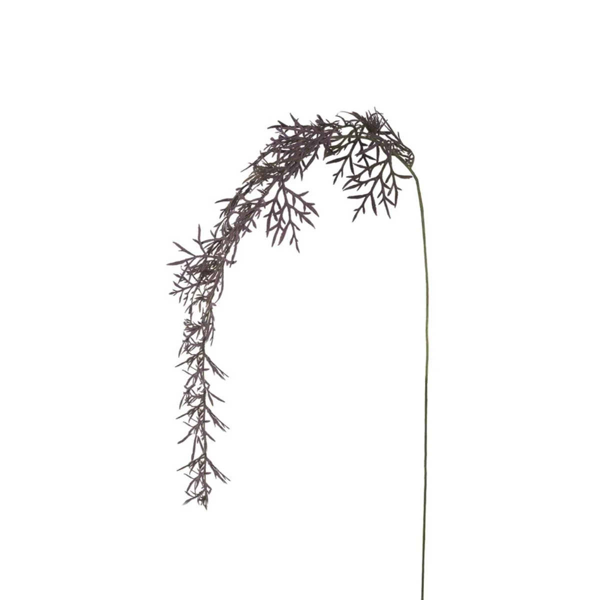 Feuillage Herbe tombante - Image 3