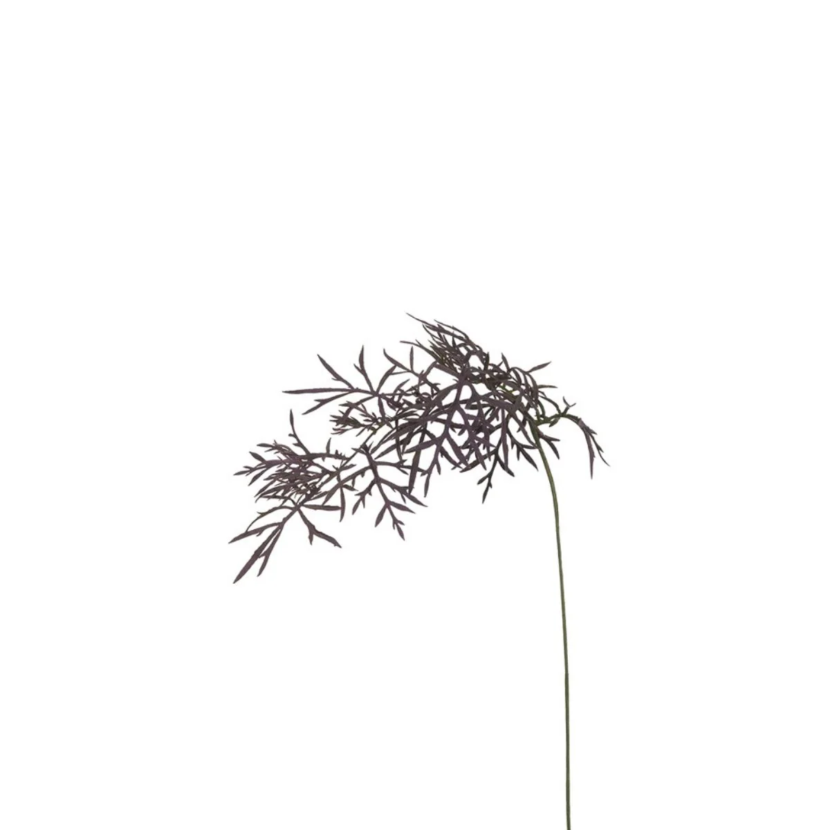 Feuillage Herbe tombante - Image 3