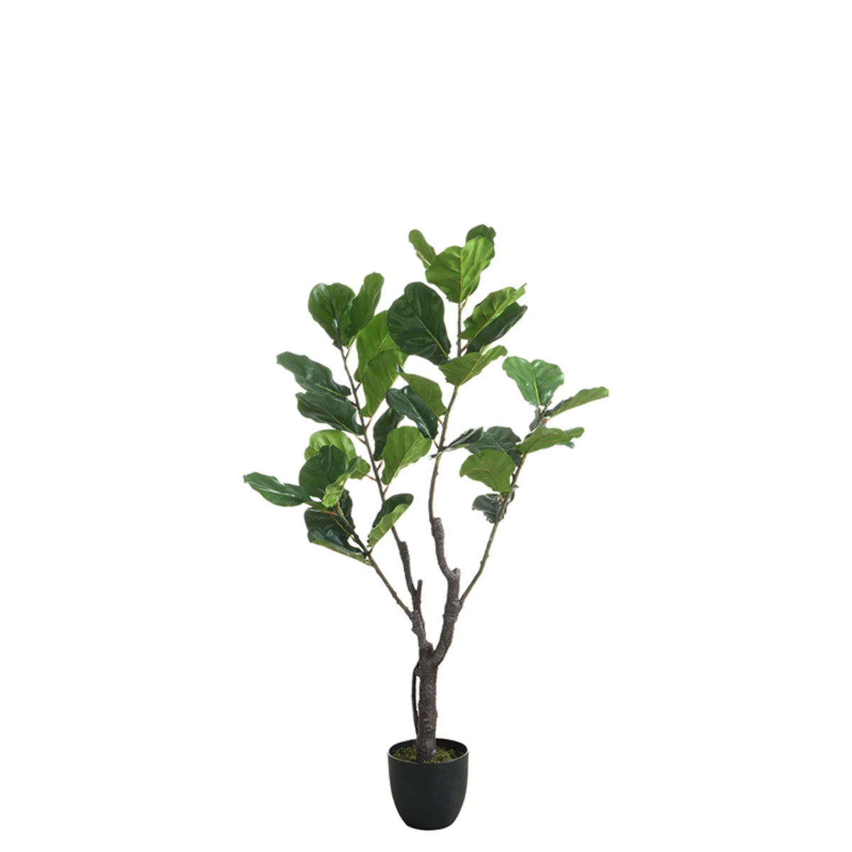 Miniature 1