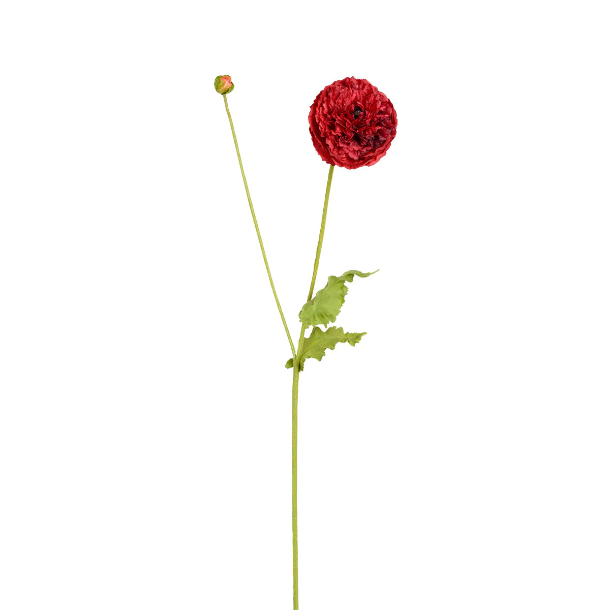 Tige de Coquelicot Pipa - Image 6