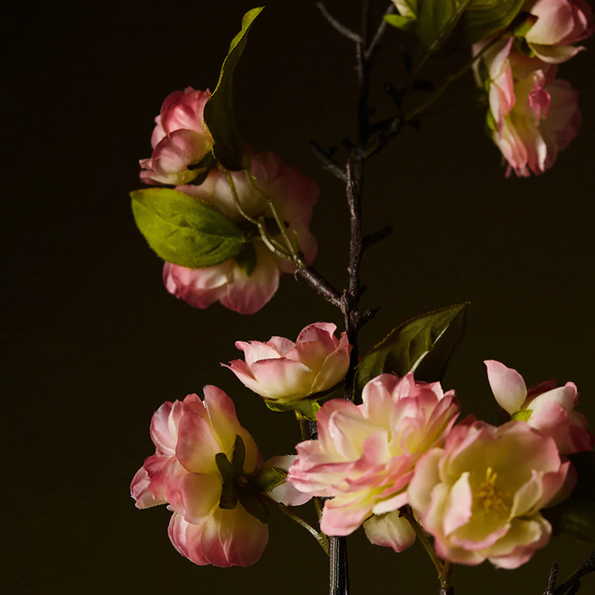 Tige de Fleurs de Cerisier - Image 10