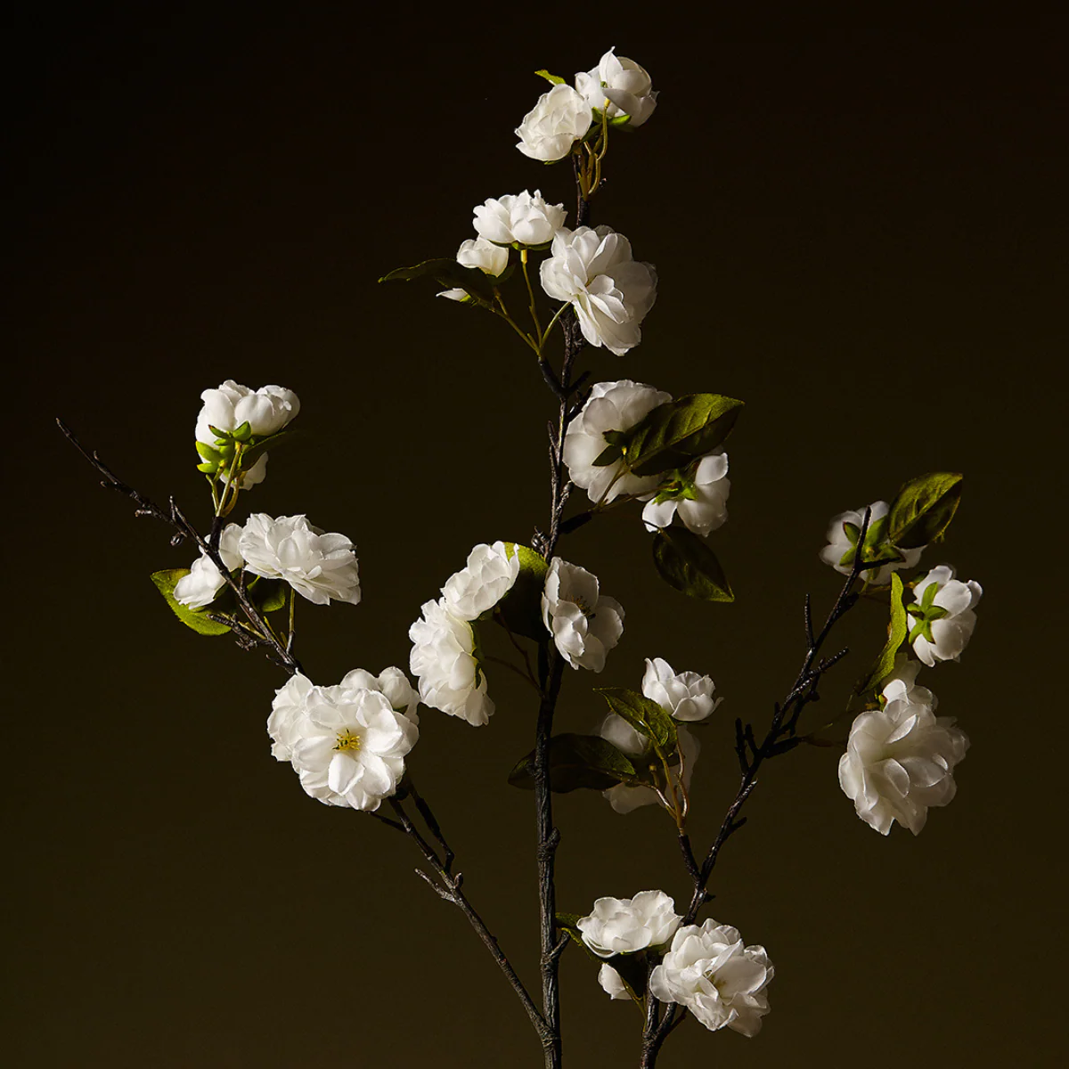 Tige de Fleurs de Cerisier - Image 4