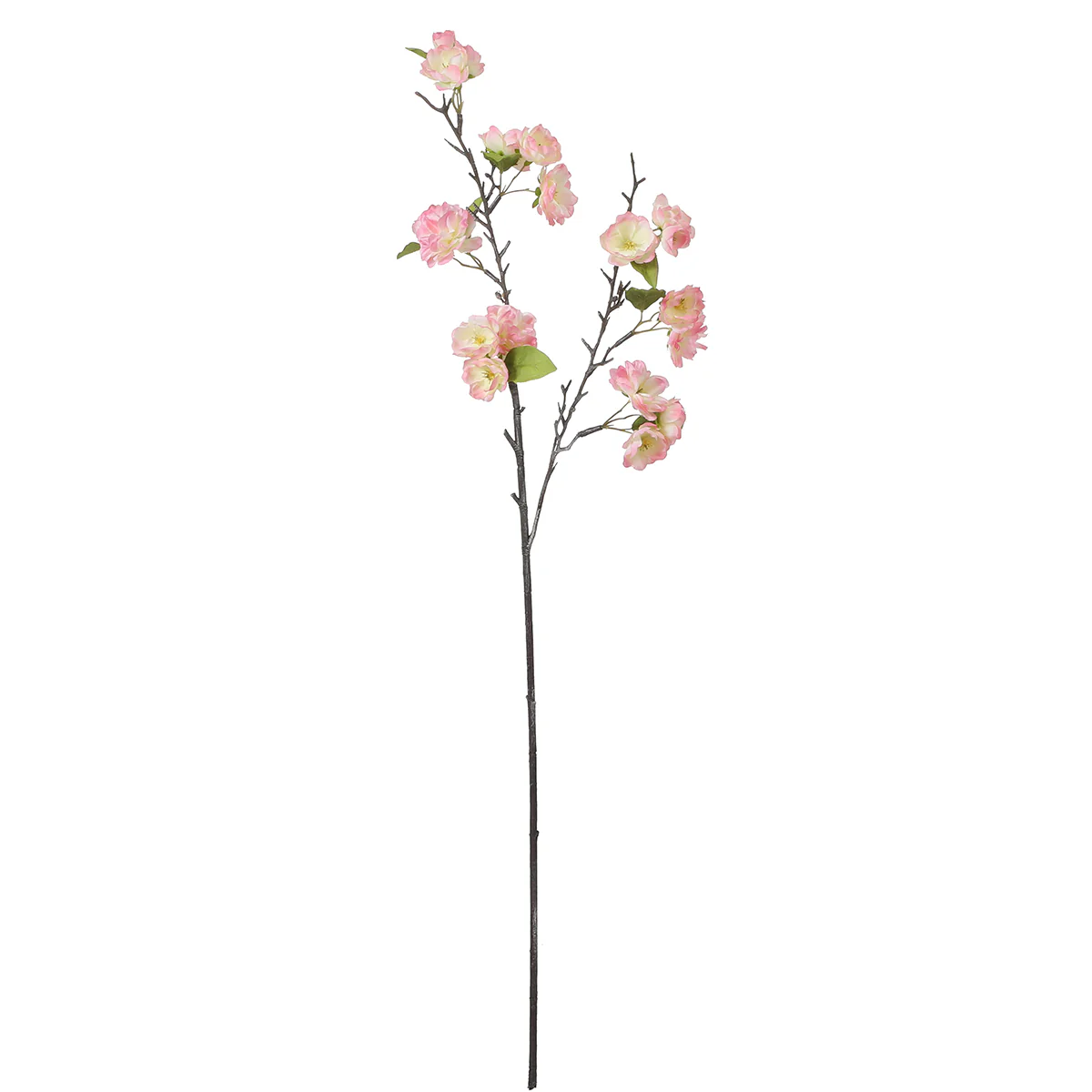 Tige de Fleurs de Cerisier - Image 8