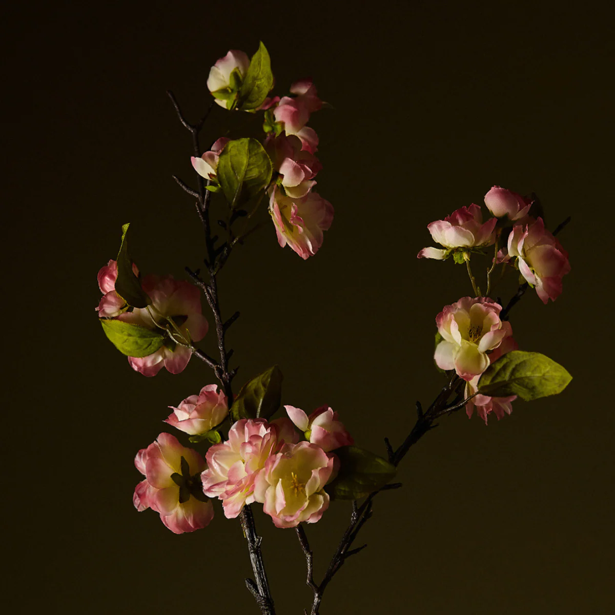 Tige de Fleurs de Cerisier - Image 9