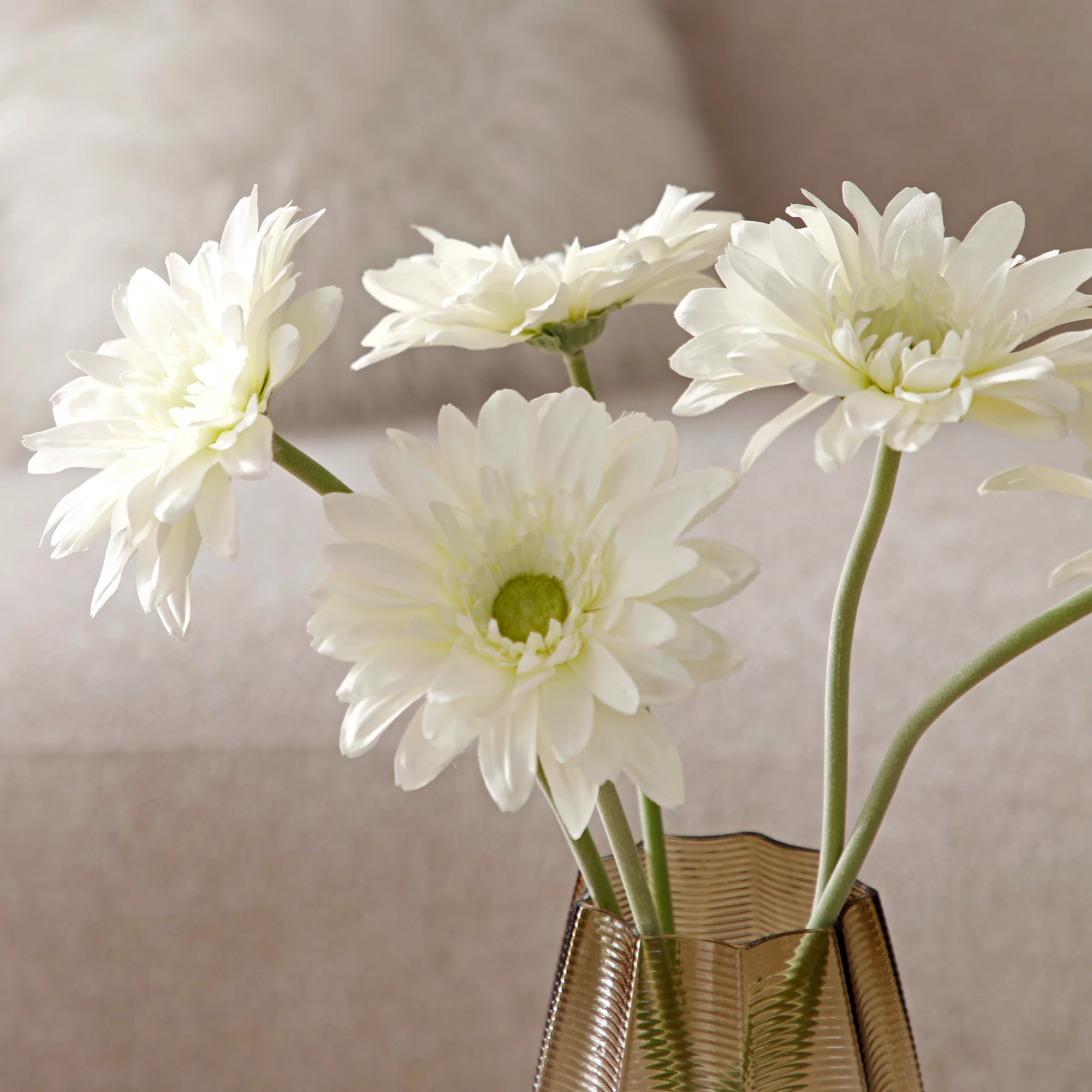 Tige de Gerbera - Image 10