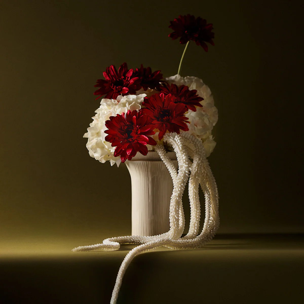Tige de Gerbera - Image 12