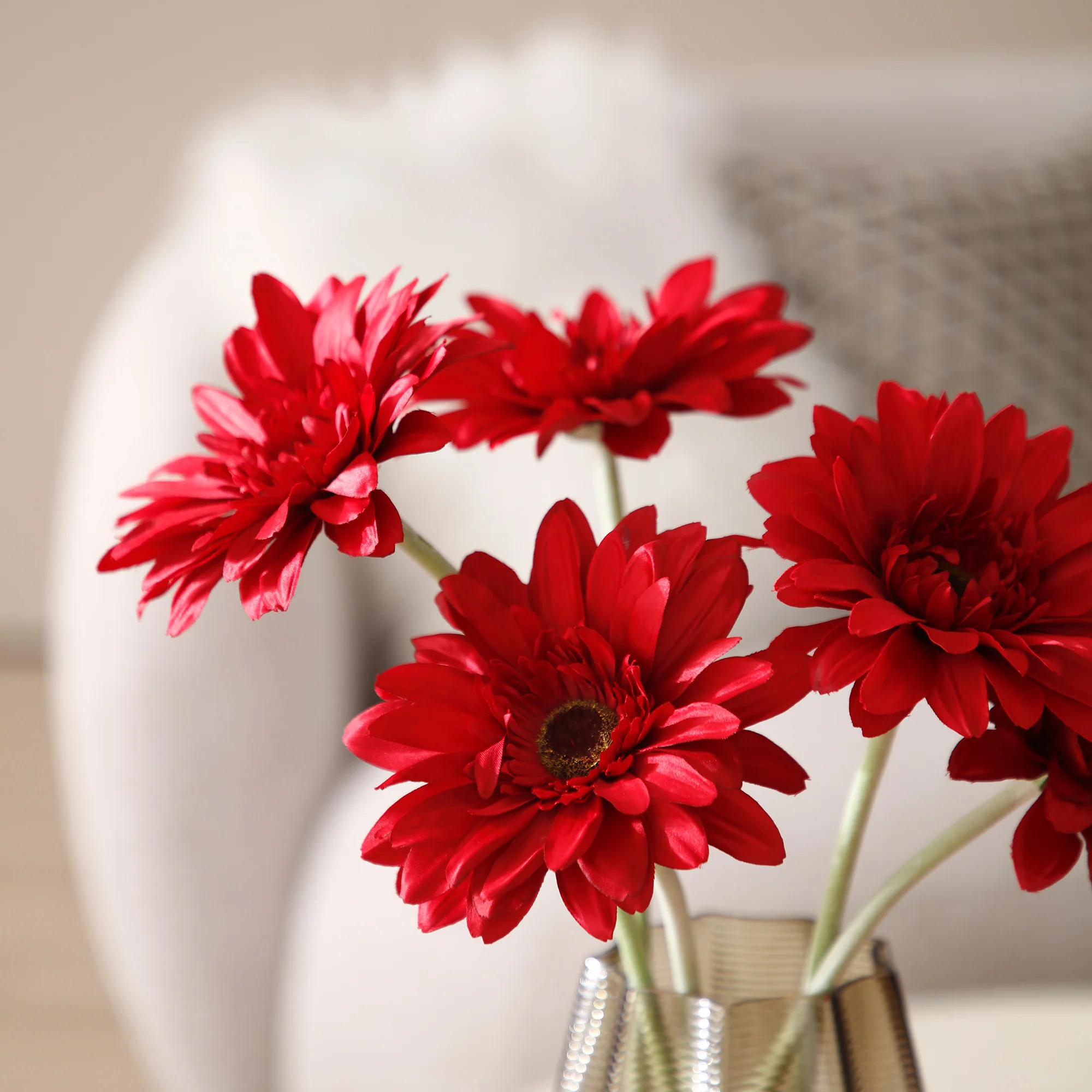 Tige de Gerbera - Image 15