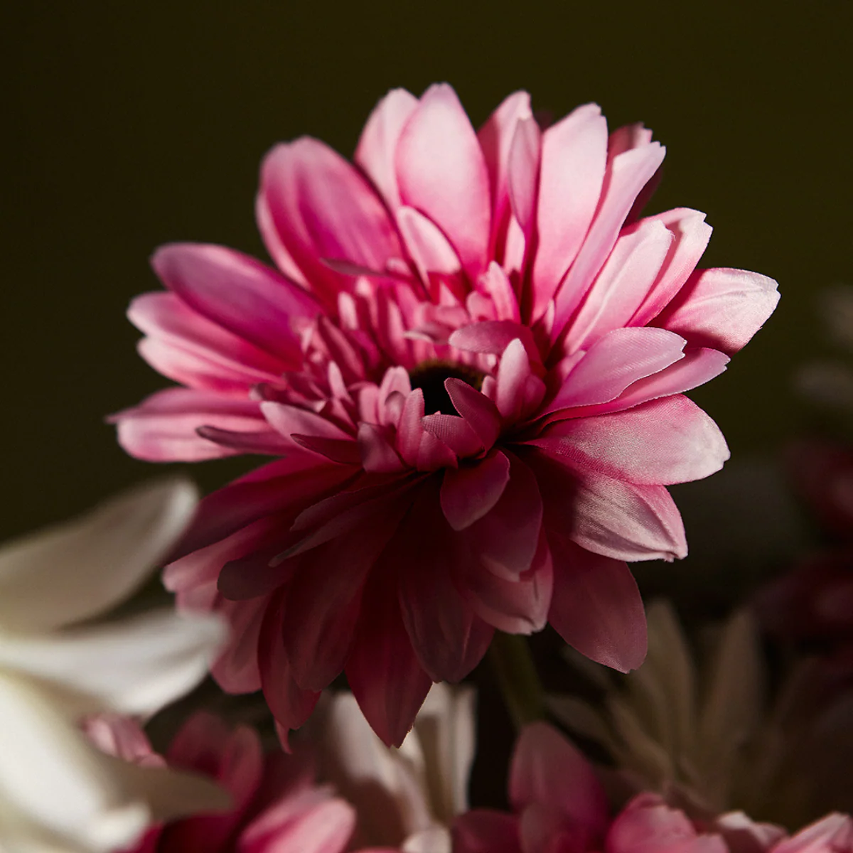 Tige de Gerbera - Image 2