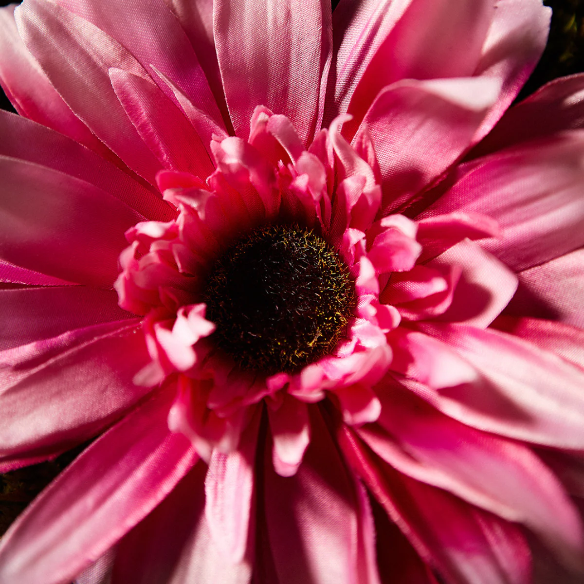 Tige de Gerbera - Image 3