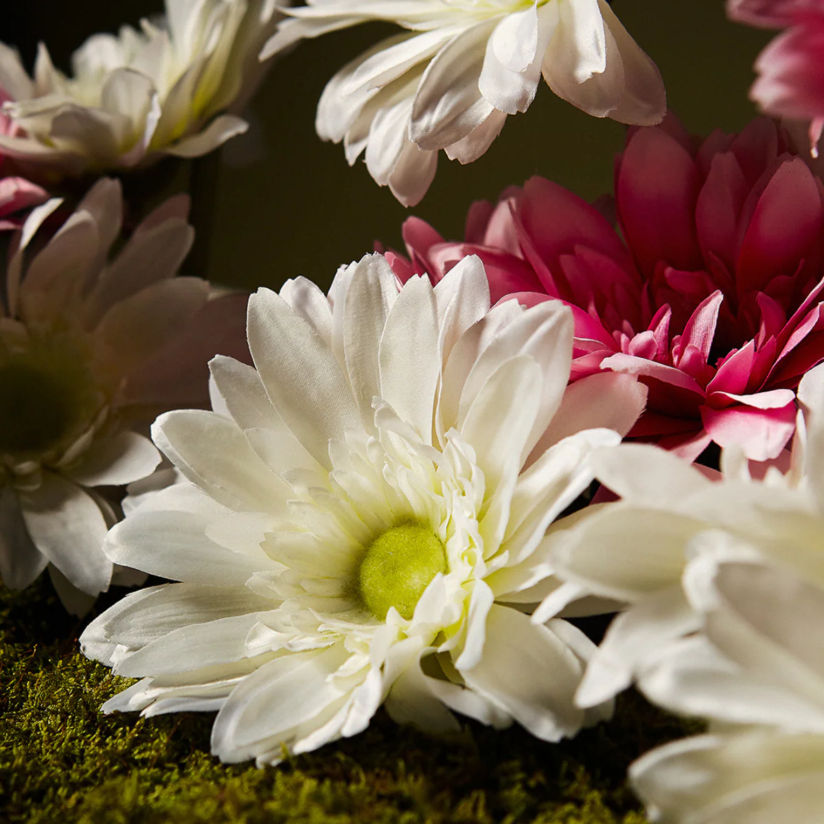 Tige de Gerbera - Image 7