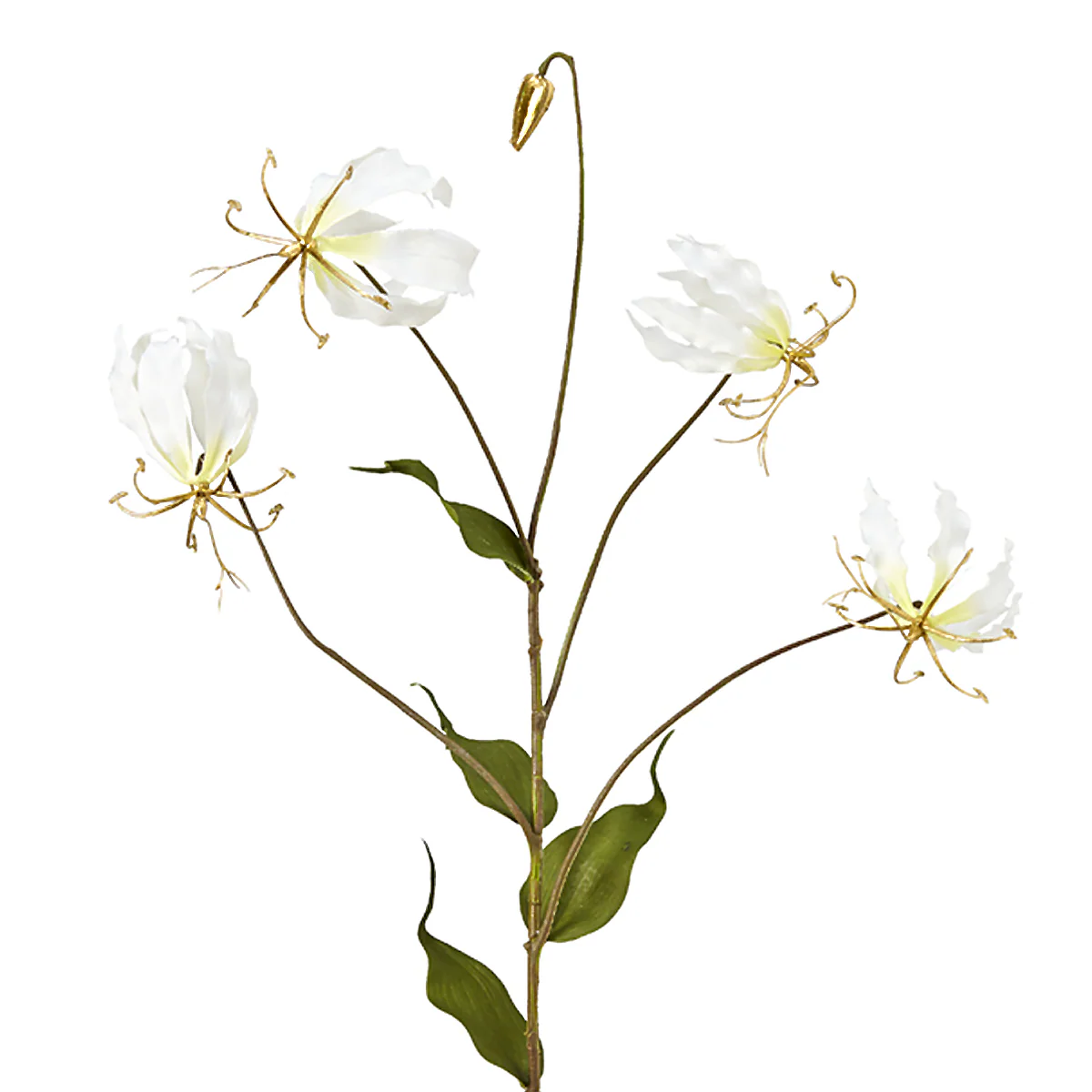 Tige de Gloriosa Amy Pailletée - Image 3