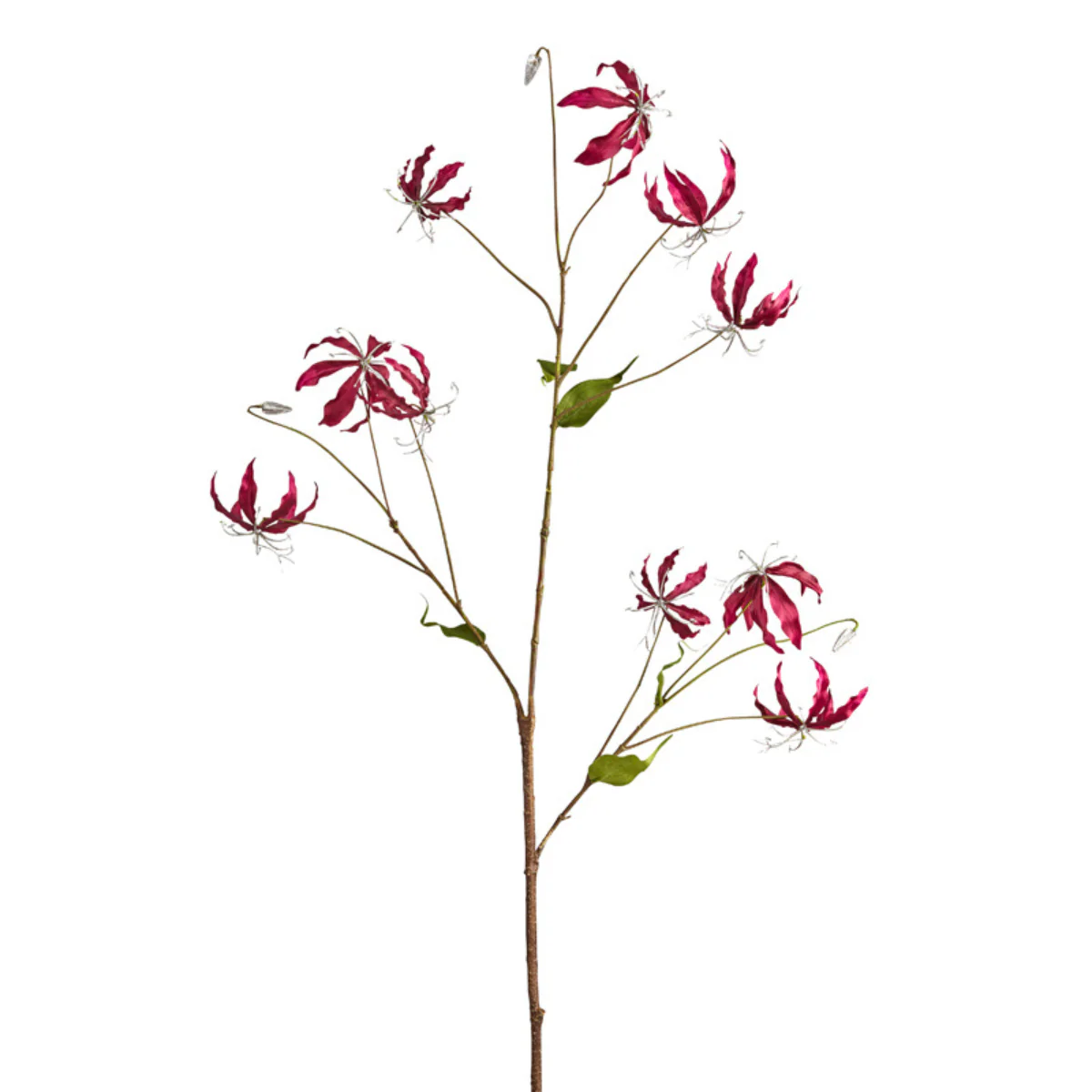 Tige de Gloriosa Amy Pailletée - Image 4