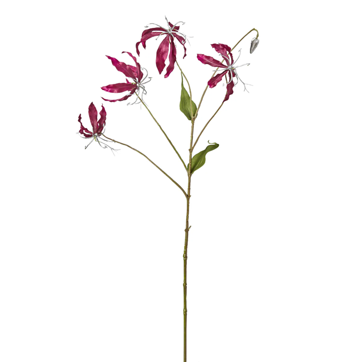 Tige de Gloriosa Amy Pailletée - Image 3