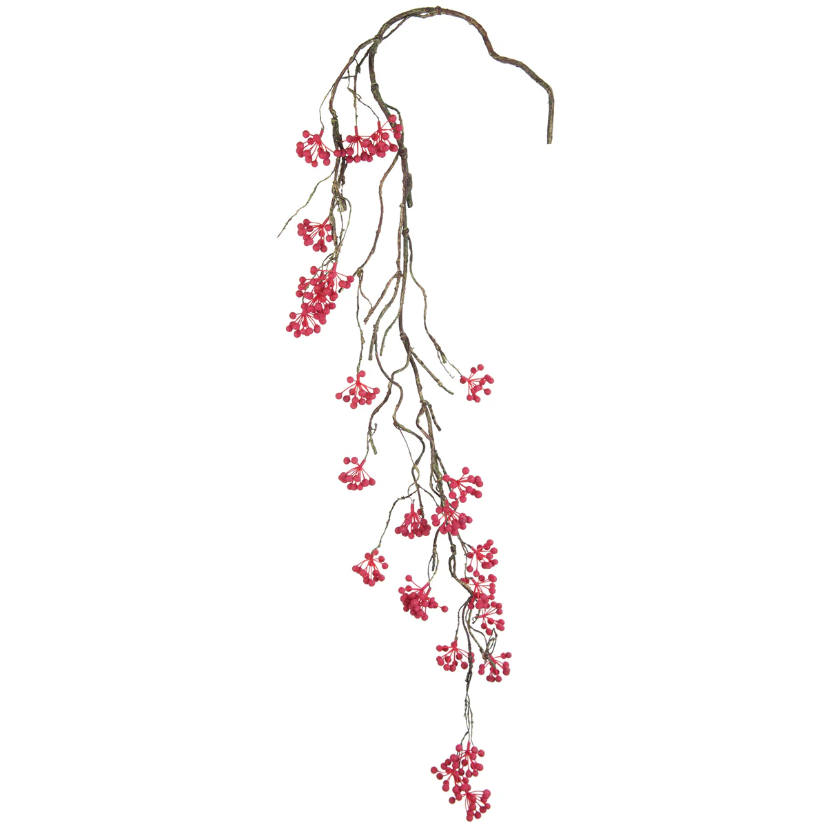 Branche de Baies - Image 3