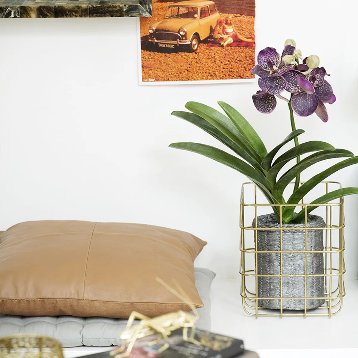 Housse de Coussin George - Image 3