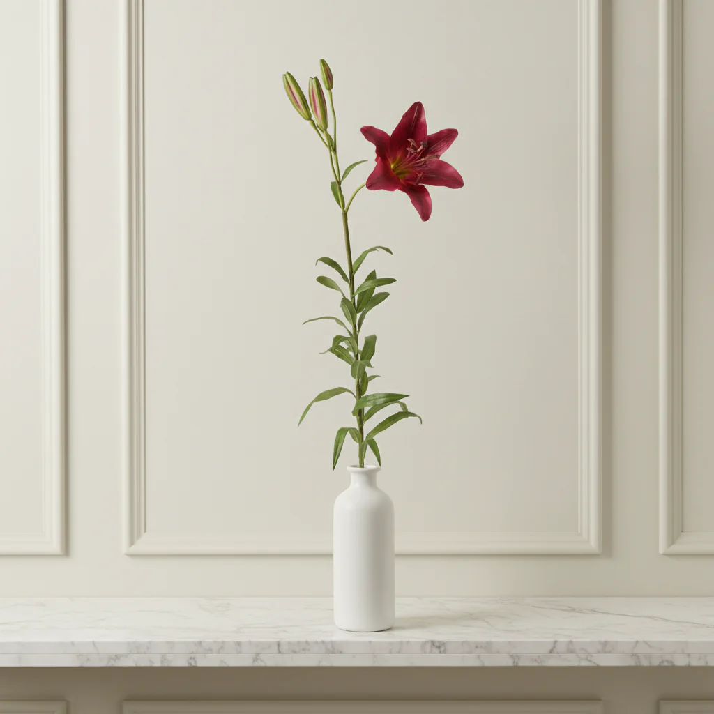 Tige de Lily Rubrum Elsa - Image 2