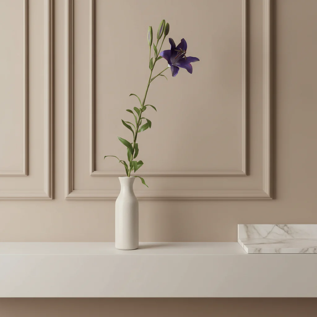 Tige de Lily Rubrum Elsa - Image 4