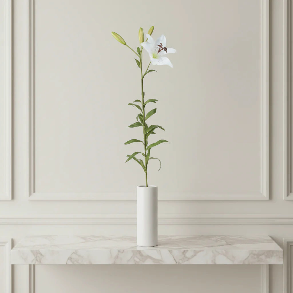 Tige de Lily Rubrum Elsa - Image 6