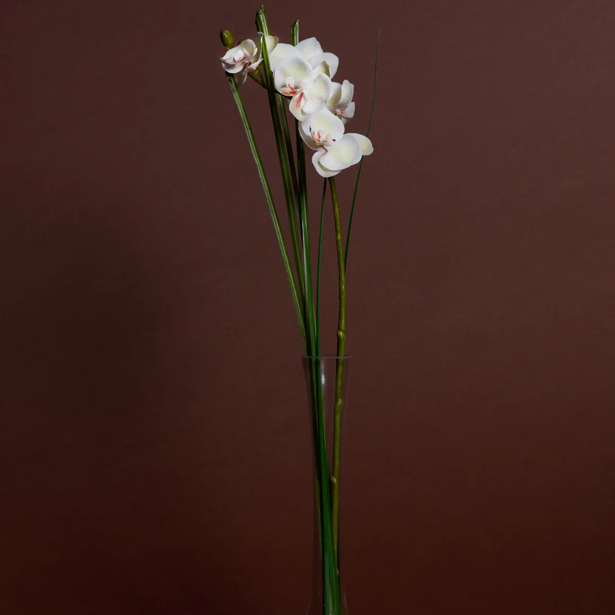 Orchidée Artificielle en Illusion d'Eau - Image 3