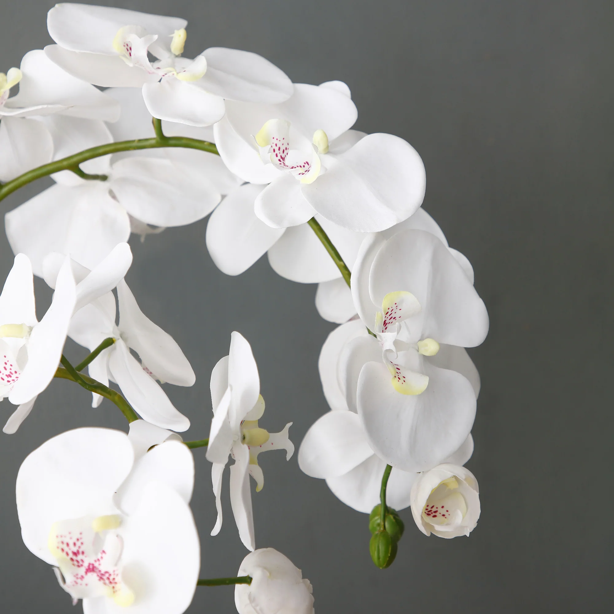 Orchidée Artificielle en Terre Moyen format - Image 4