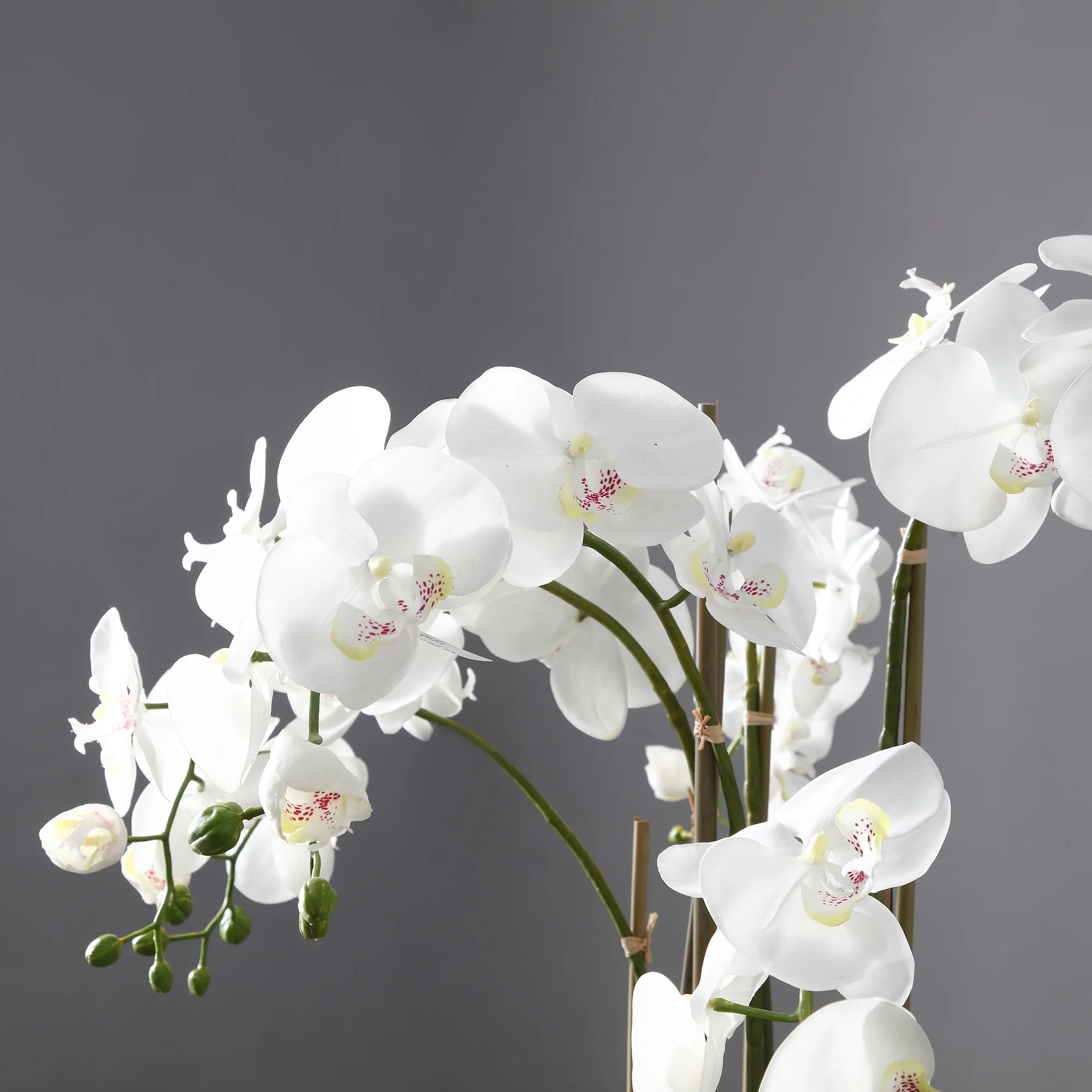 Orchidée Artificielle en Terre Grand format - Image 4