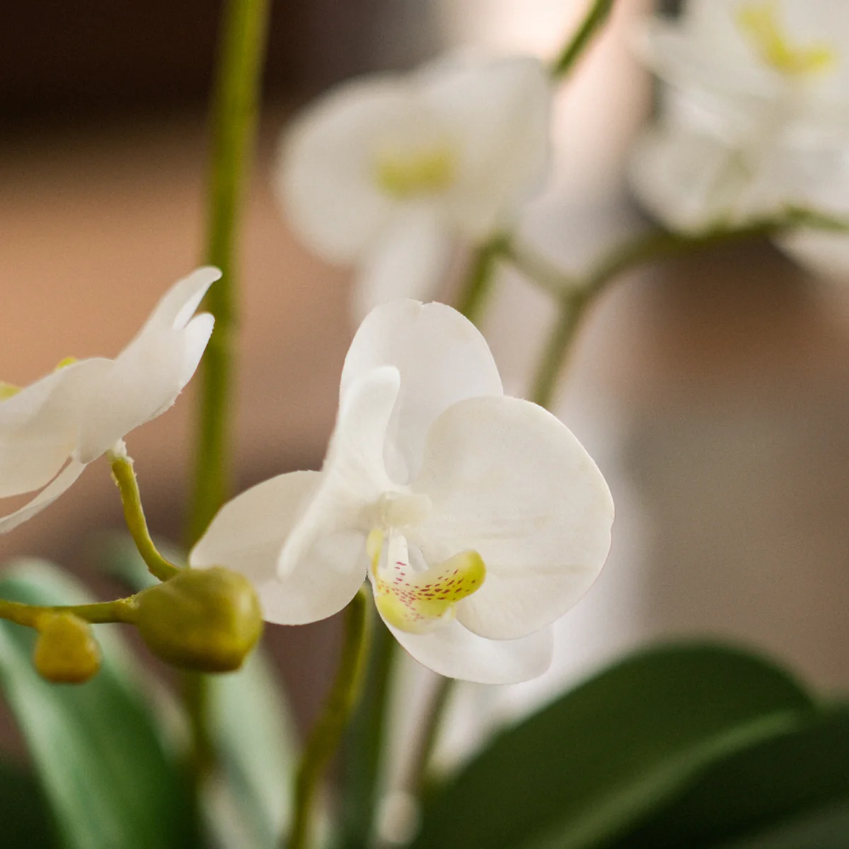 Composition d'Orchidée Artificielle Petit format - Image 3