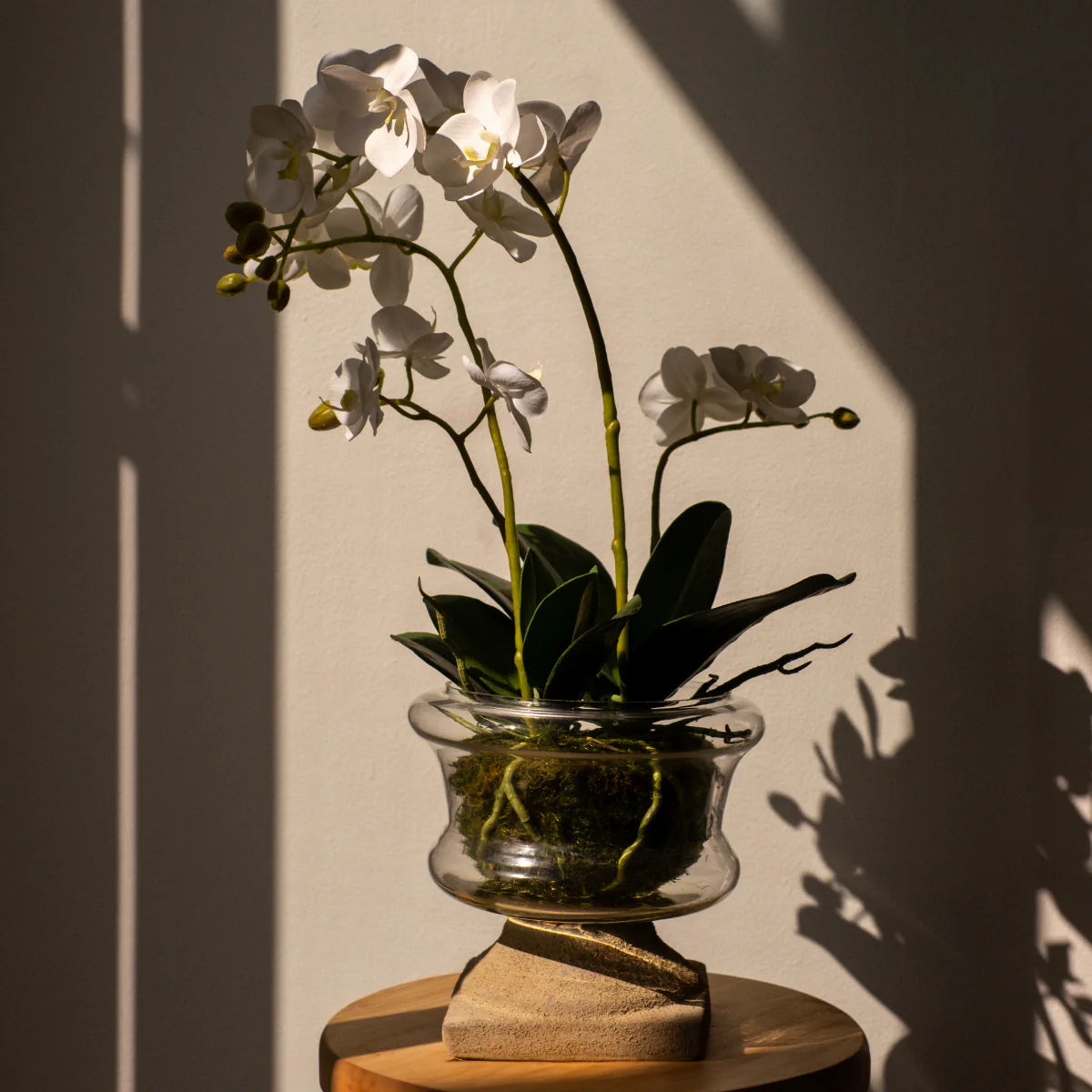 Composition d'Orchidée Artificielle Petit format - Image 5