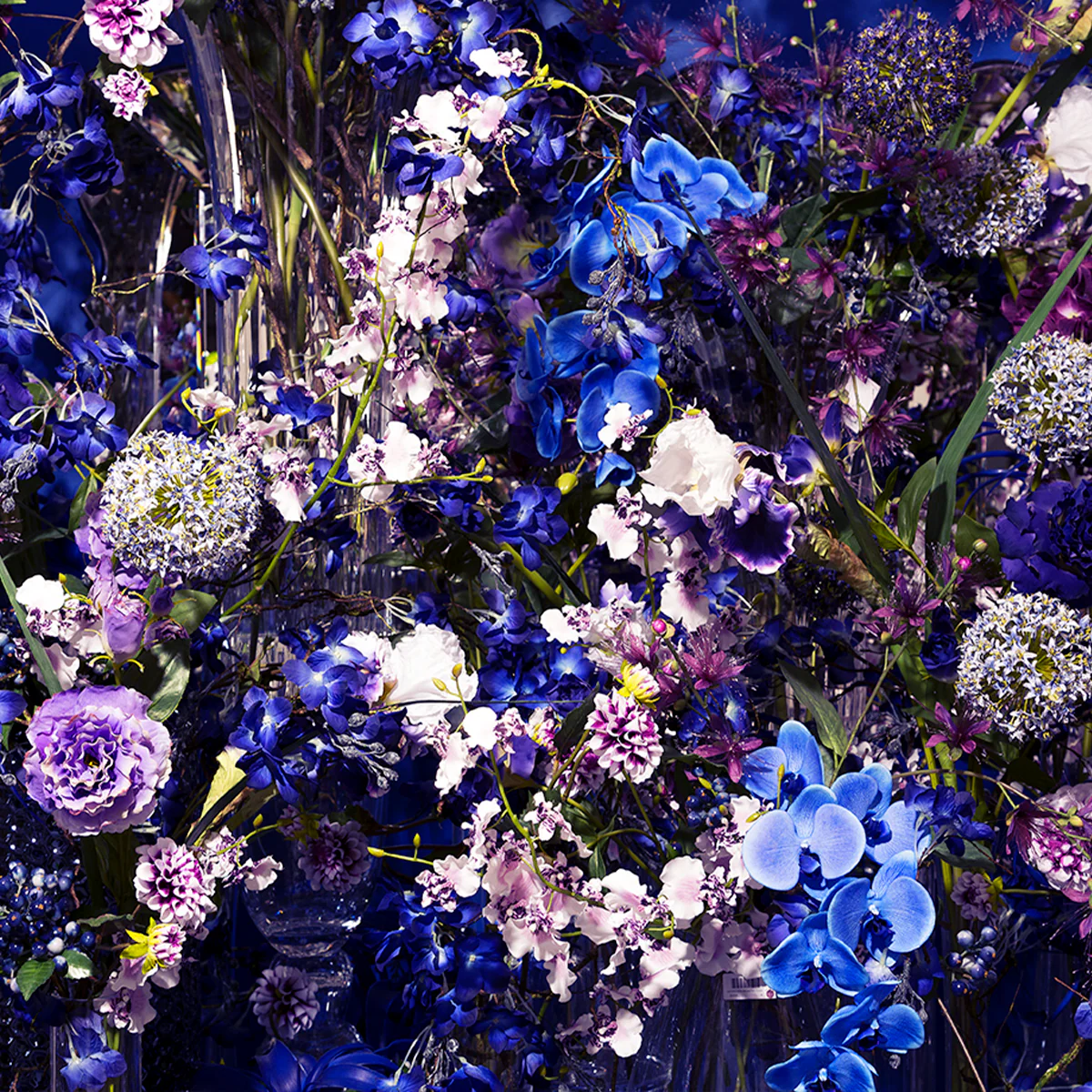 Tige d'Orchidée Phalaenopsis Forever - Image 10