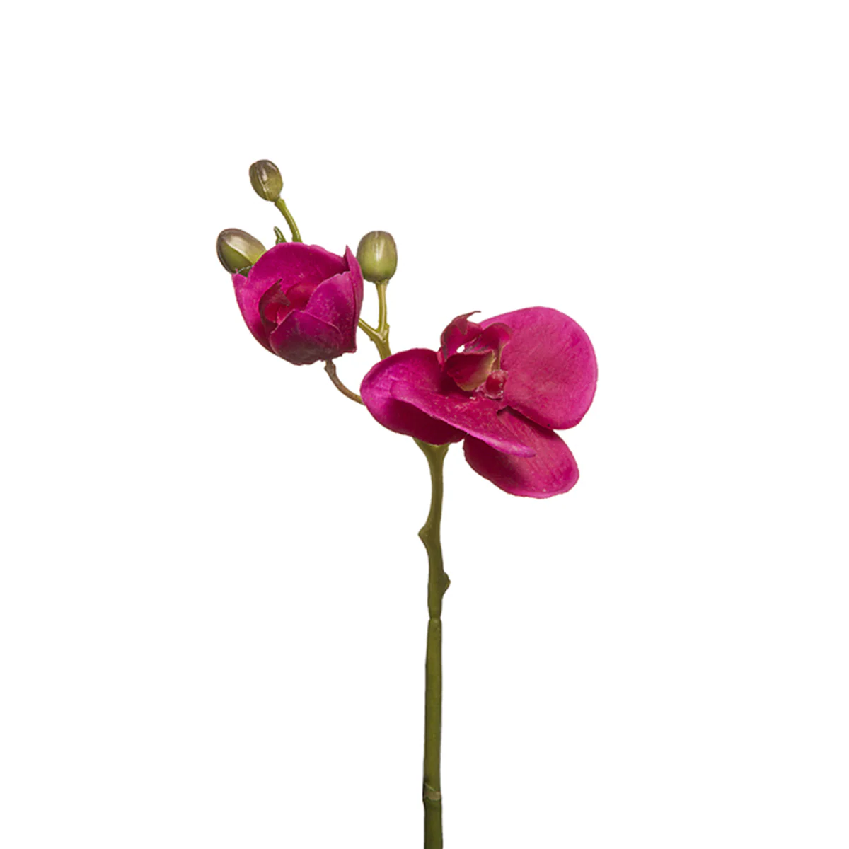 Miniature 1