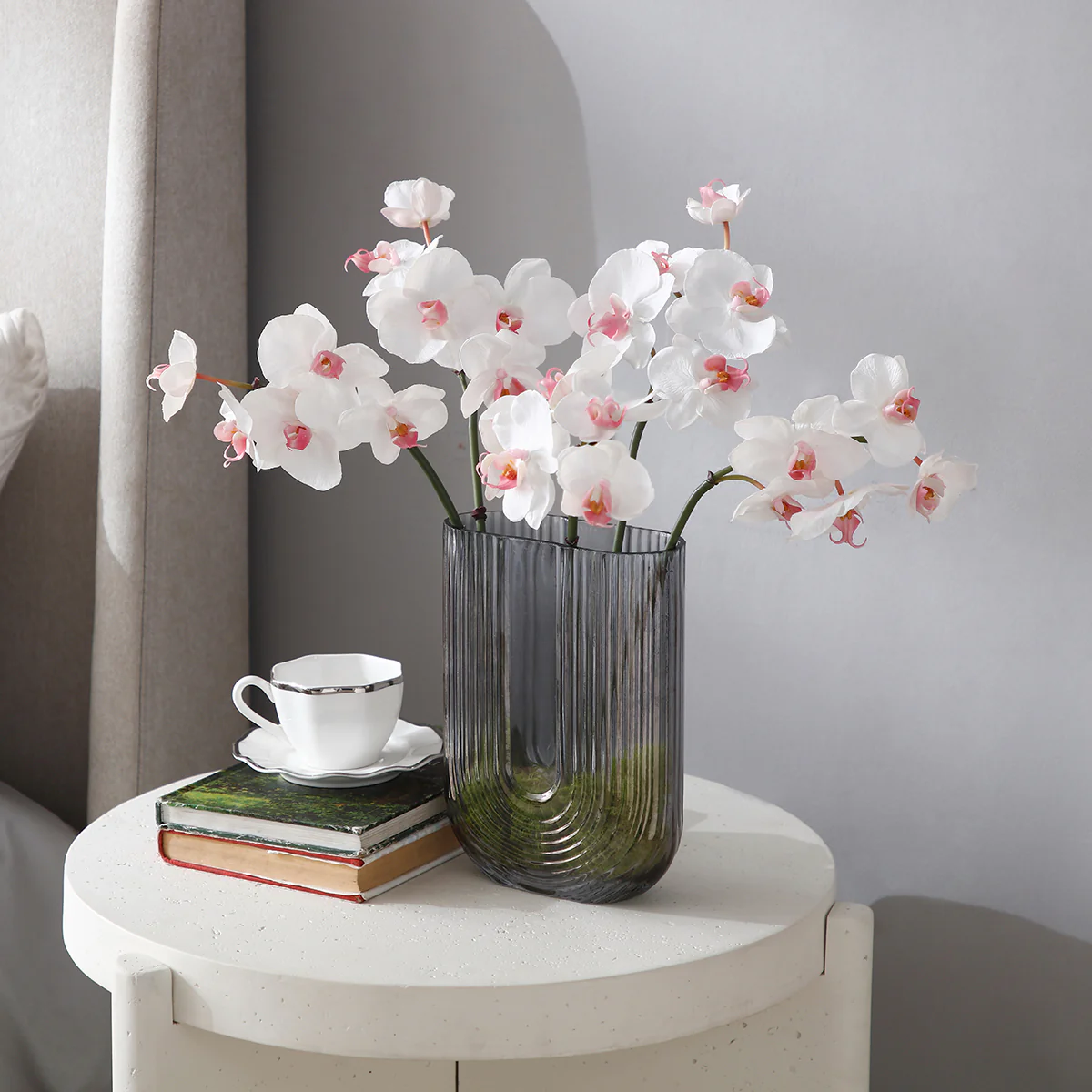 Tige d'Orchidée Phalaenopsis - Image 2