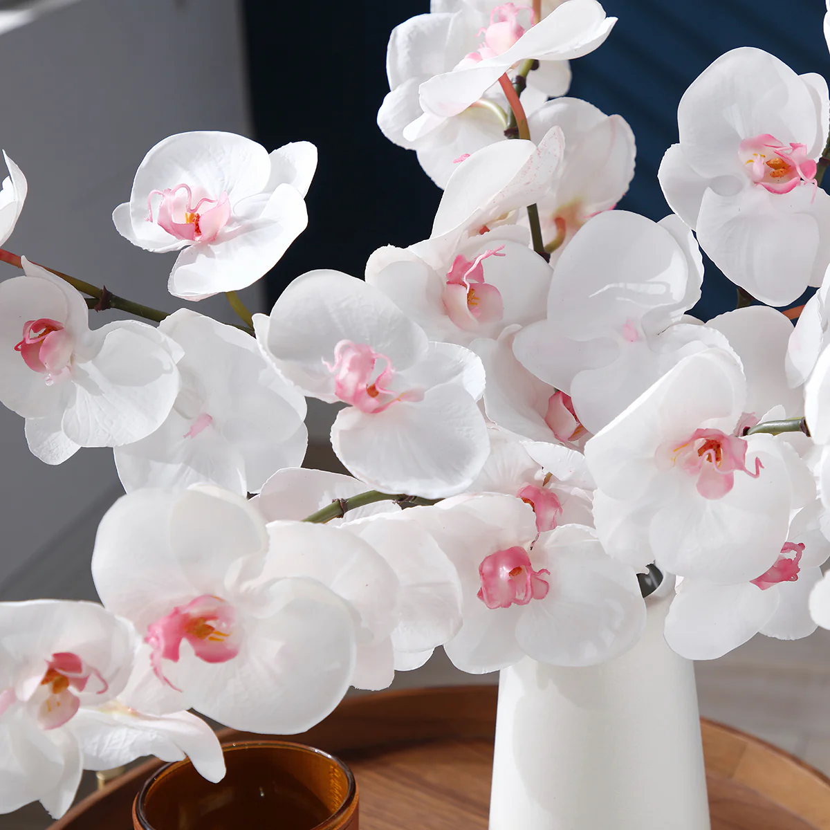 Tige d'Orchidée Phalaenopsis - Image 3